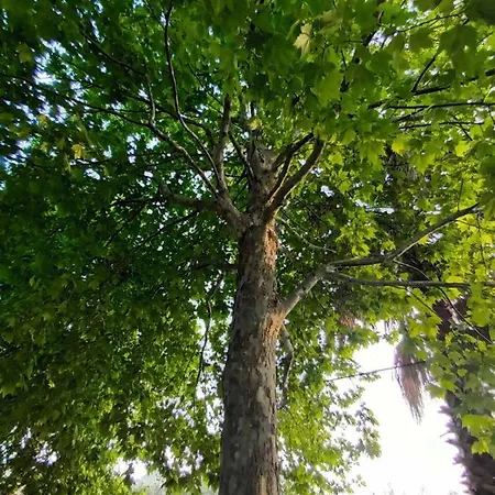 Nikolas בית נופש