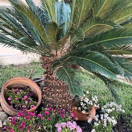 Nikolas בית נופש פפקי